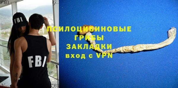 МДПВ Володарск
