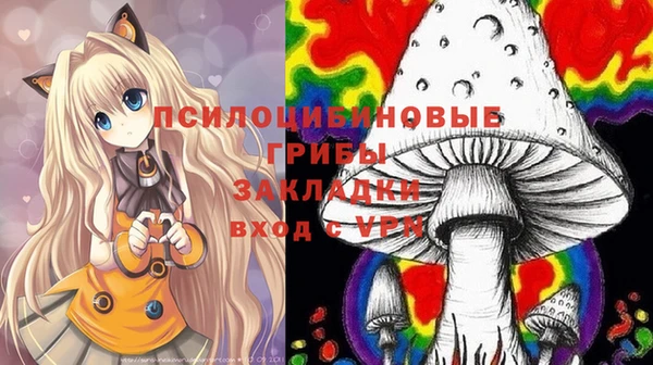 ECSTASY Волосово