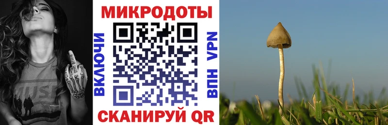 Псилоцибиновые грибы Cubensis  Вытегра 