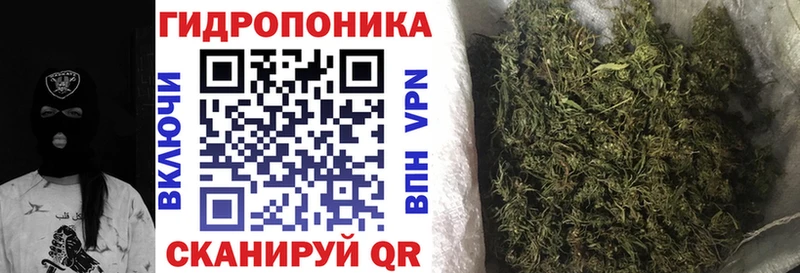 Бошки Шишки AK-47  наркота  Вытегра 